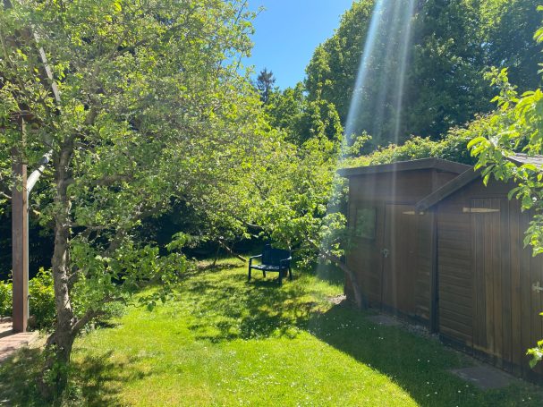 Ferienhaus Lotz - Garten